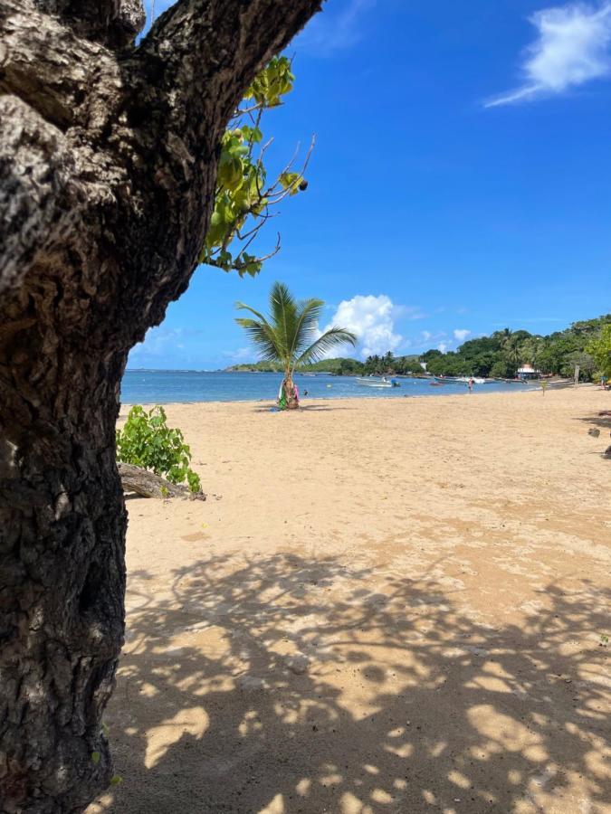 Appartement Vue Mer A 2 Minutes A Pied Des Plages Tartane Ла-Трініте Екстер'єр фото