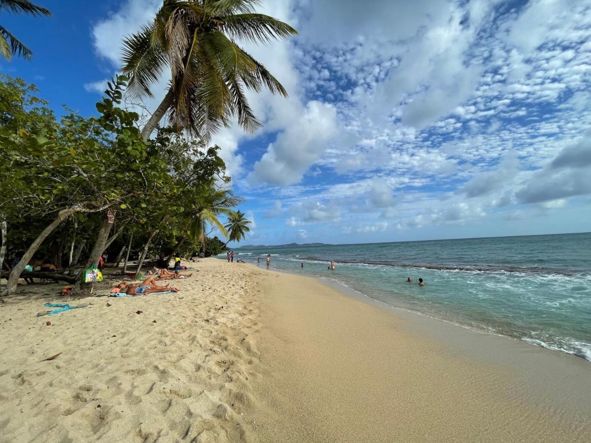 Appartement Vue Mer A 2 Minutes A Pied Des Plages Tartane Ла-Трініте Екстер'єр фото