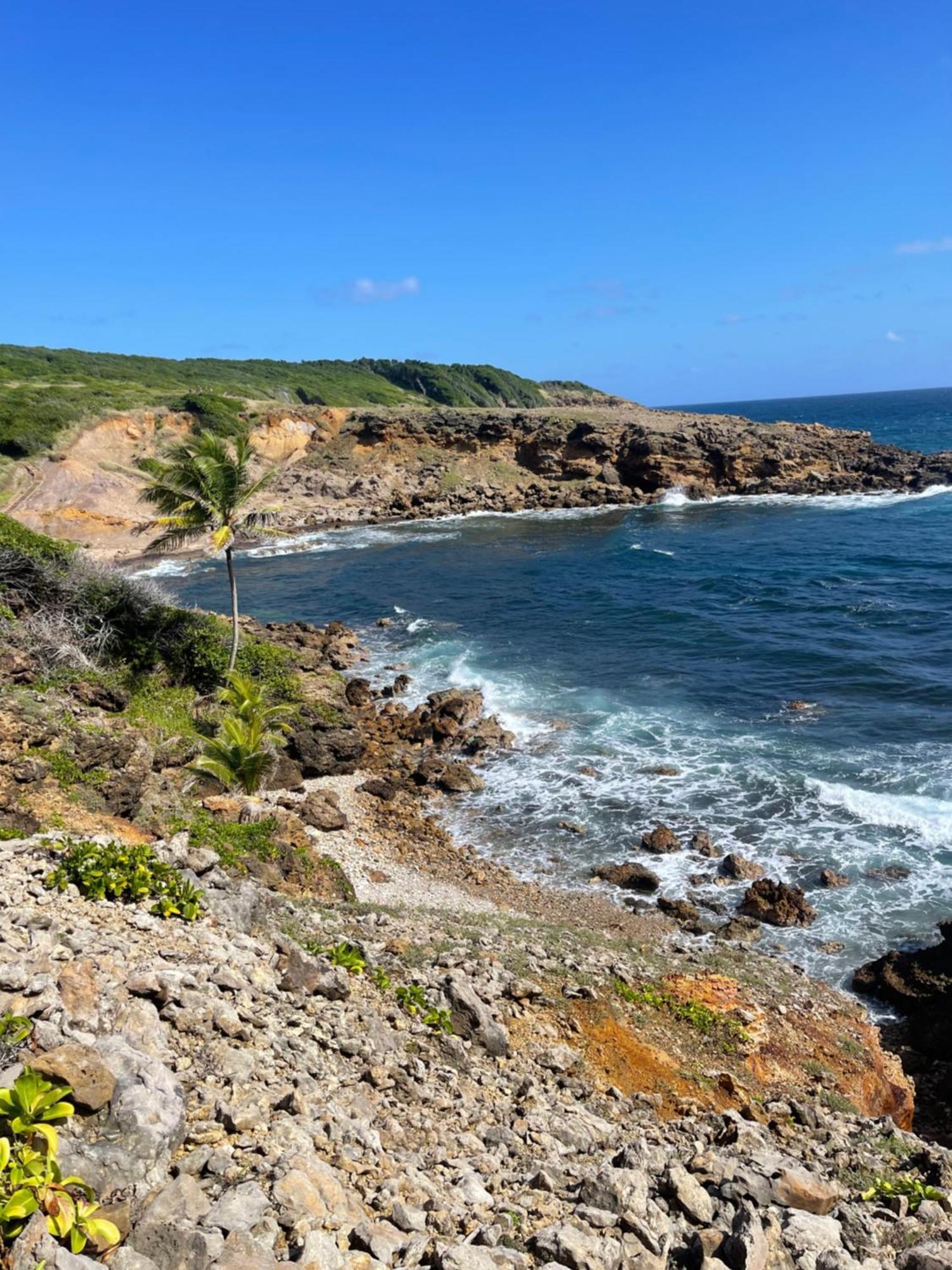 Appartement Vue Mer A 2 Minutes A Pied Des Plages Tartane Ла-Трініте Екстер'єр фото